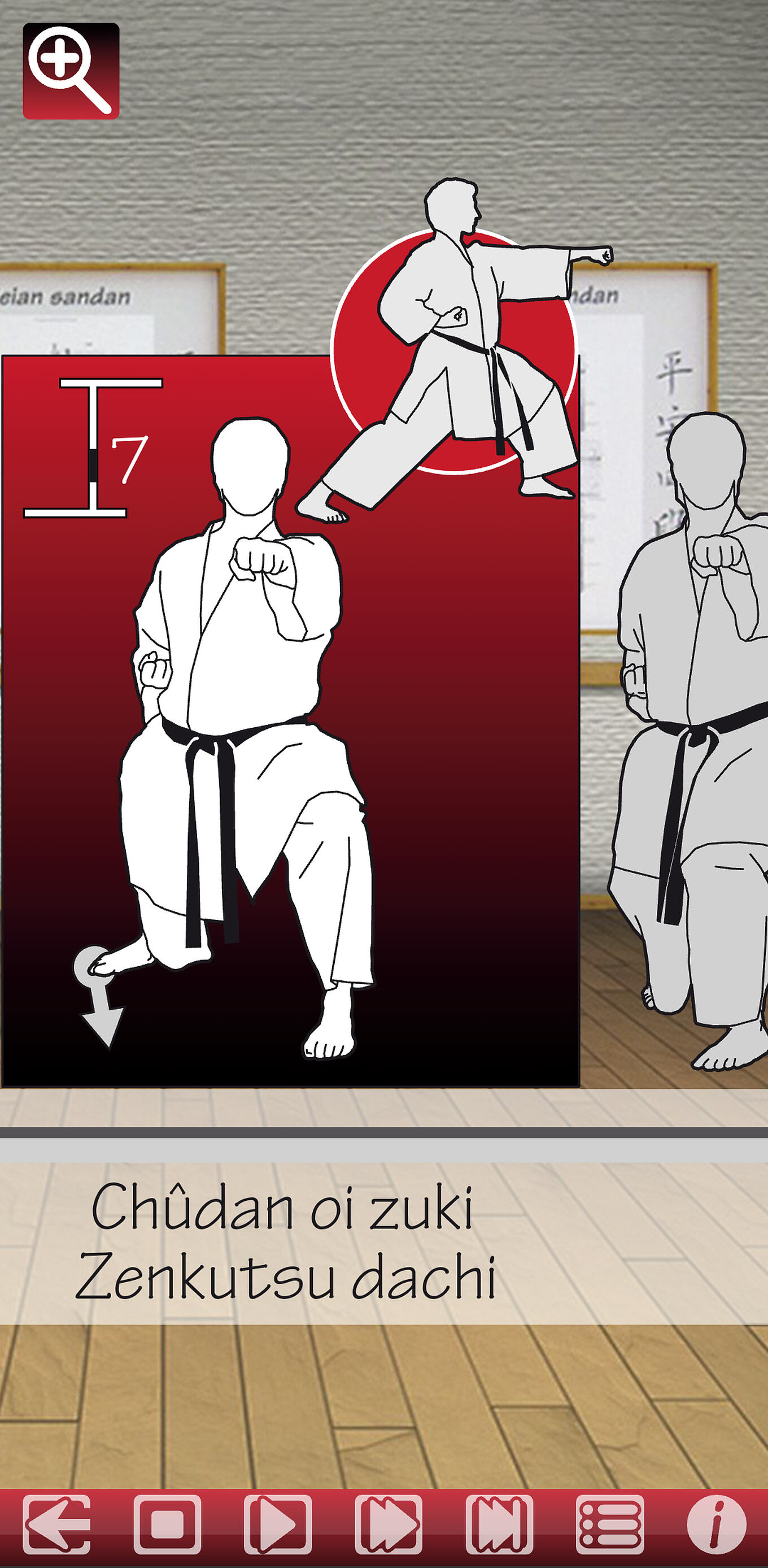 Shotokan Kata App Ulm - flüssige Animationen mit Echtzeit- und Zoom-Funktion auf dem Smartphone